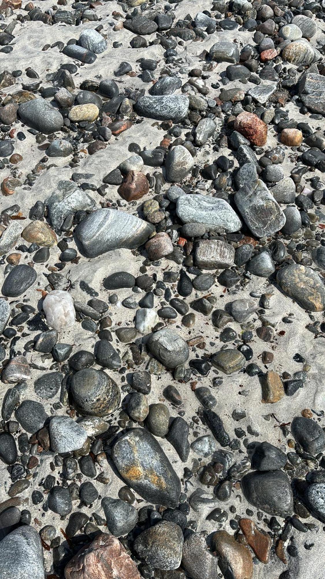 Seas The Day - Self Catering Lodge North Uist Paible エクステリア 写真