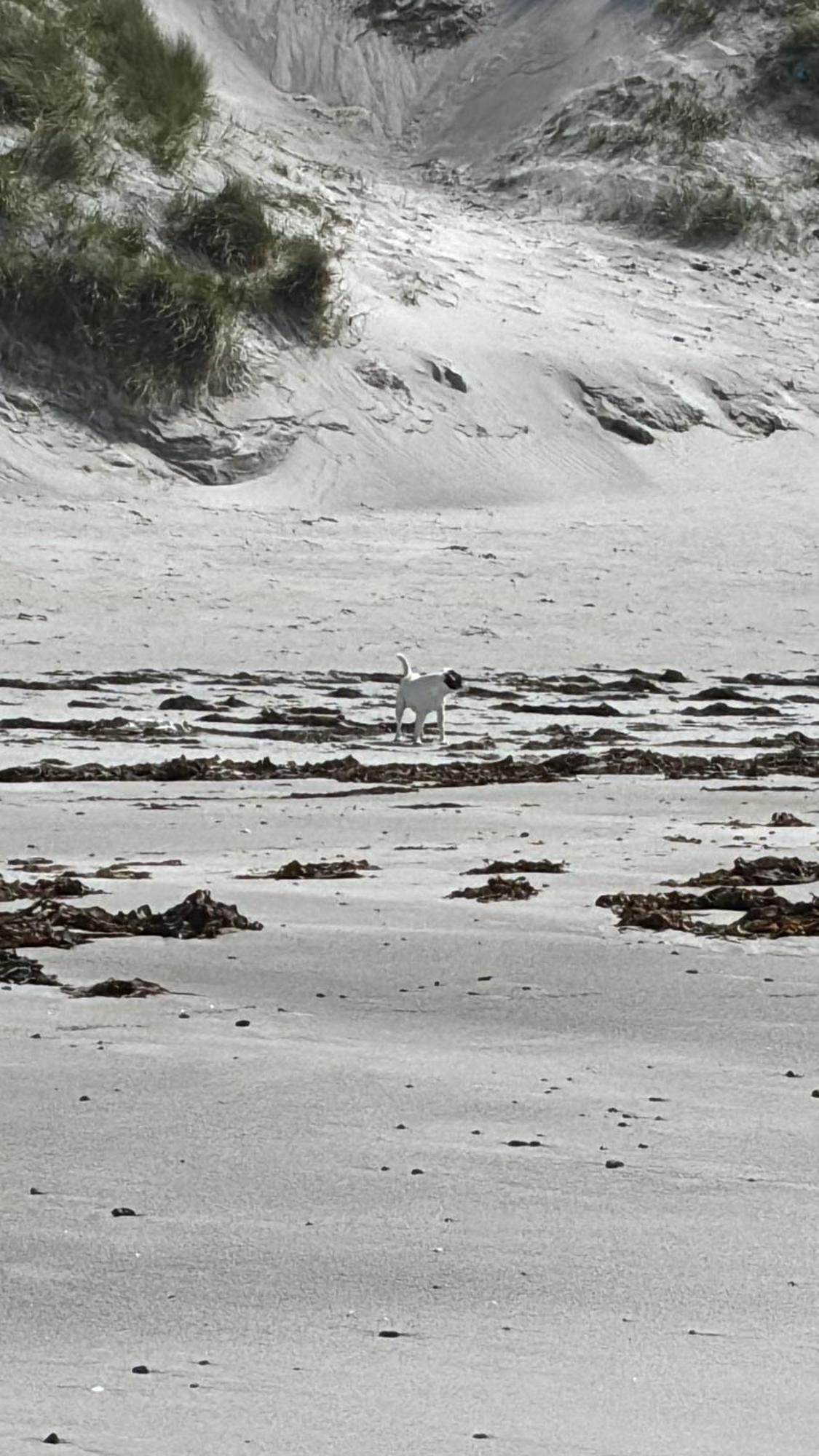 Seas The Day - Self Catering Lodge North Uist Paible エクステリア 写真