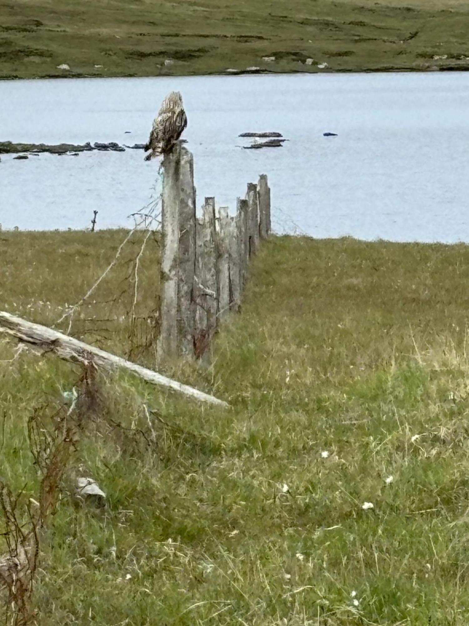 Seas The Day - Self Catering Lodge North Uist Paible エクステリア 写真