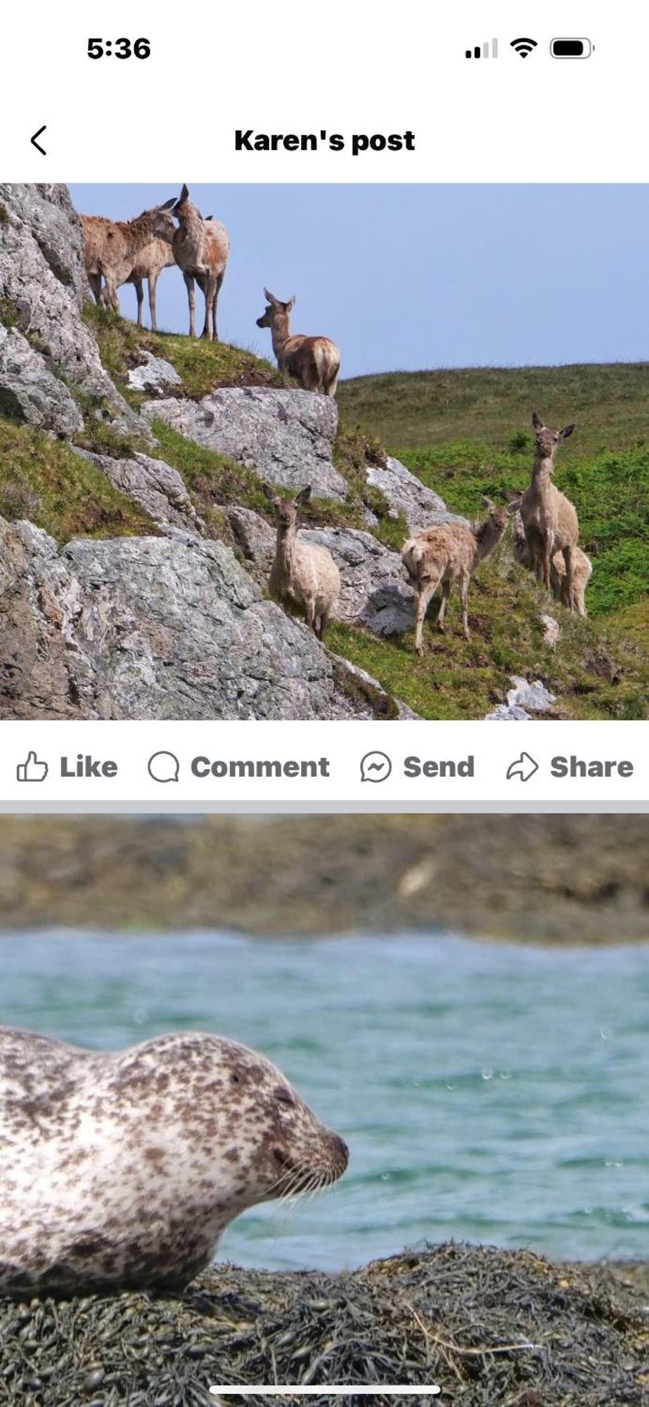 Seas The Day - Self Catering Lodge North Uist Paible エクステリア 写真